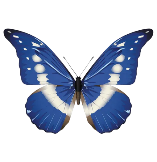 Blue butterfly